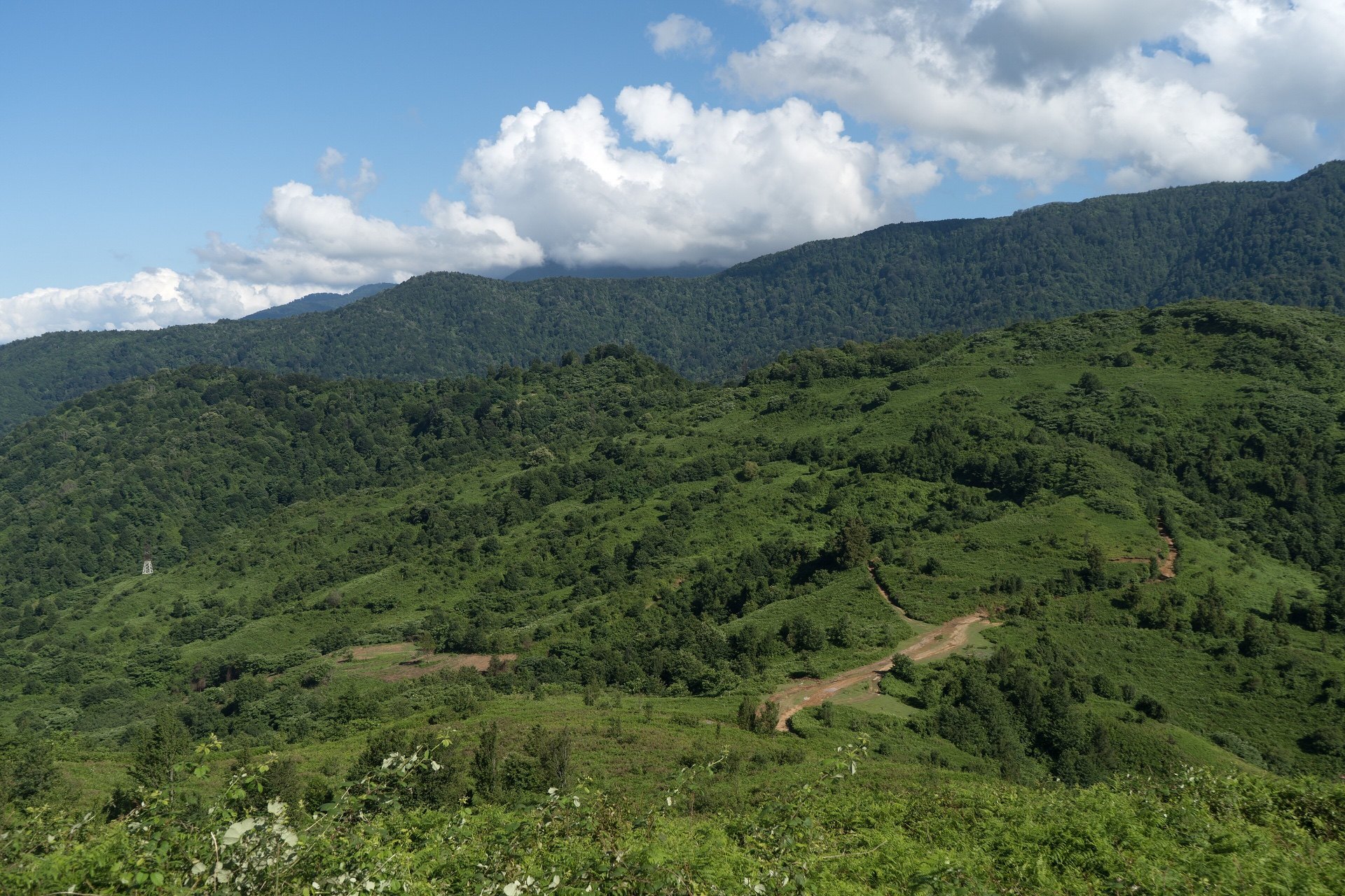 Green mountains descending toward the Black Sea along the Batumi coast